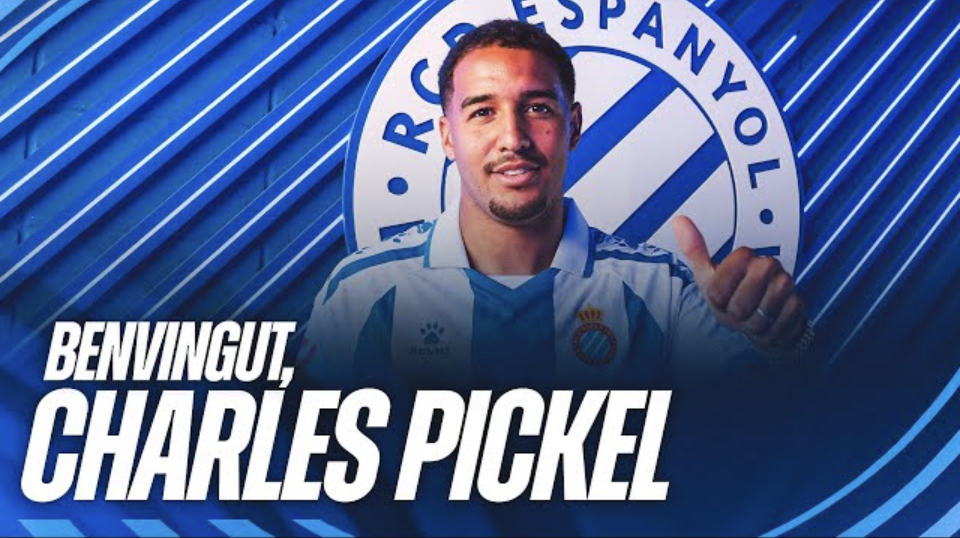 Pickel 