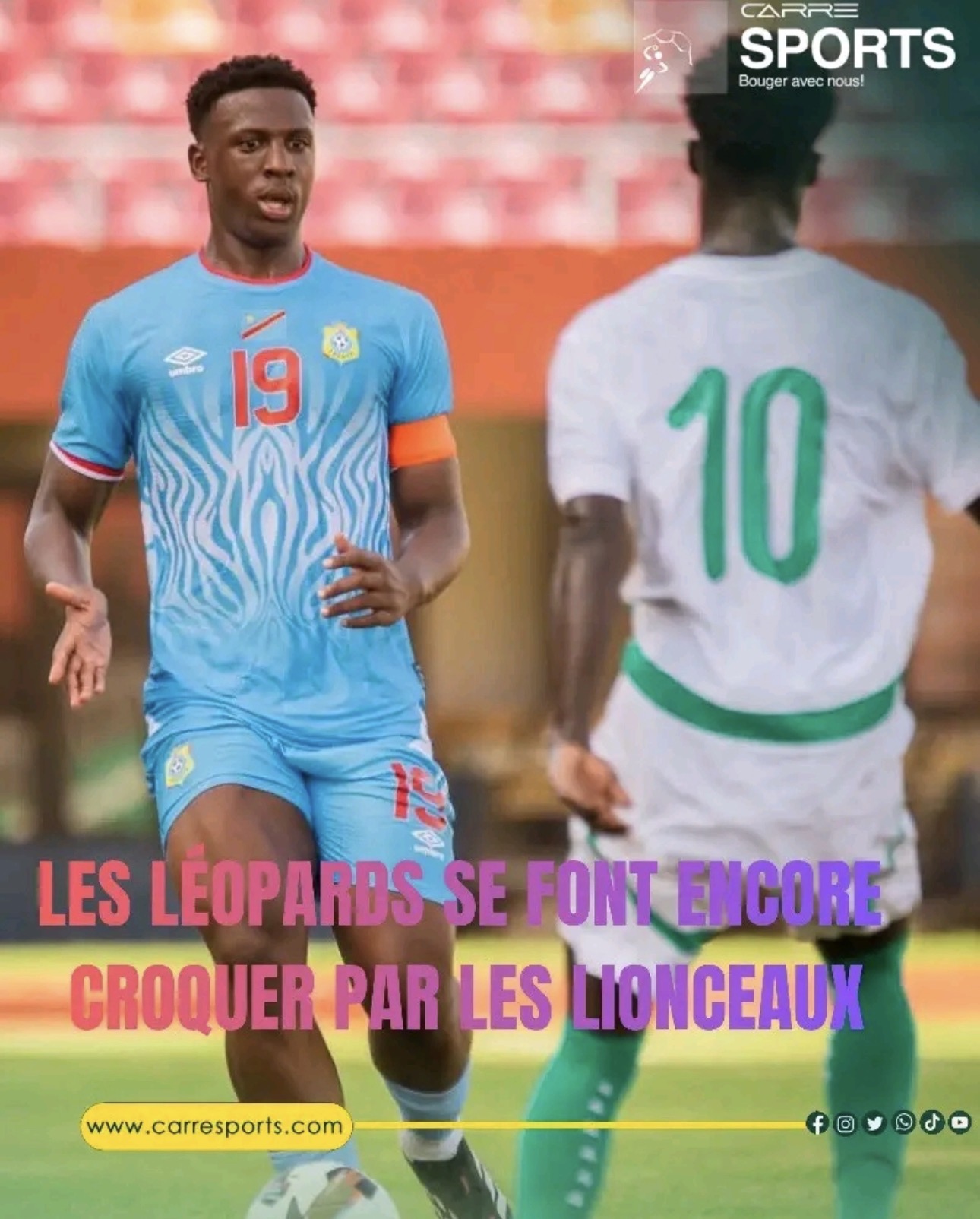 Léopards 