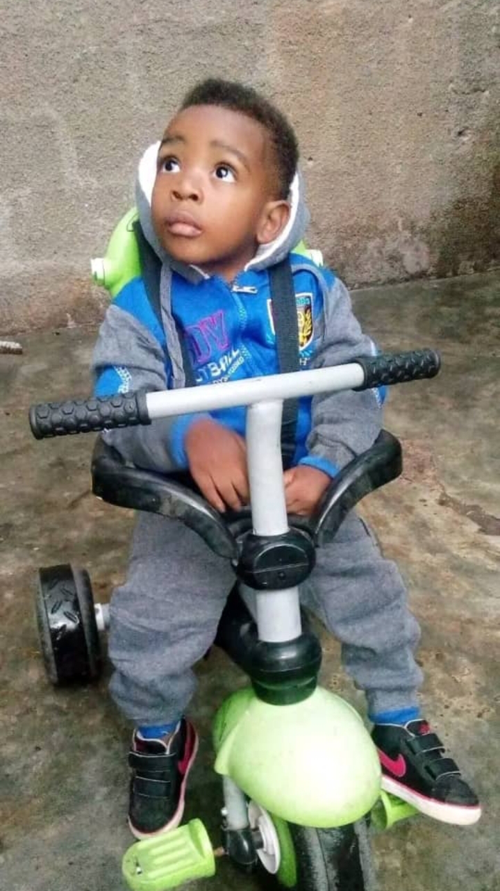 Eldy