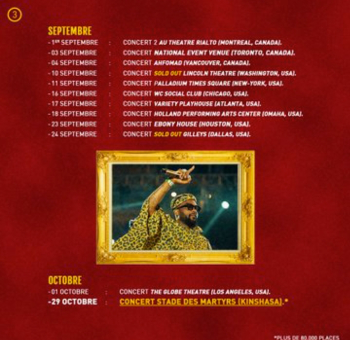 Fally Ipupa 