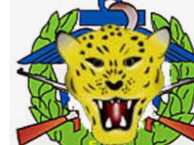Logo Fardc