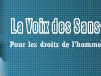 Logo VSV