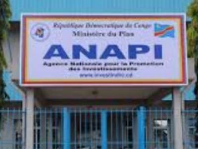 Logo ANAPI