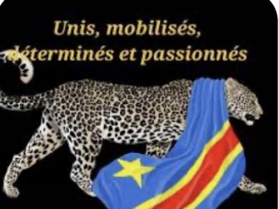 Léopards