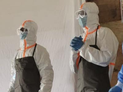 Ebola