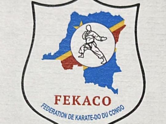 Karaté logo