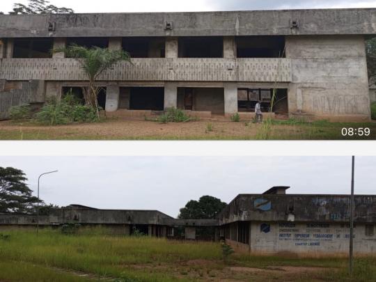 Sud ubangi