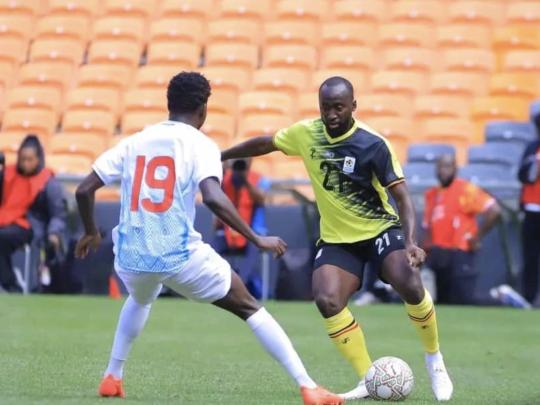 Léopards 