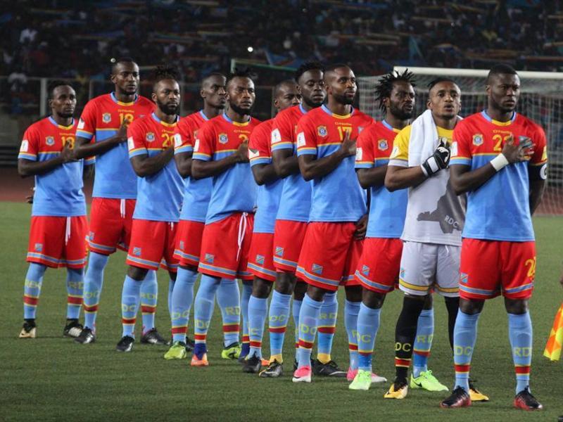 Les leopards en pleine concentration