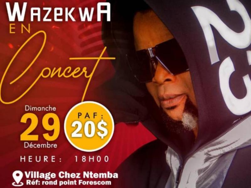 Affiche du concert de Wazekwa
