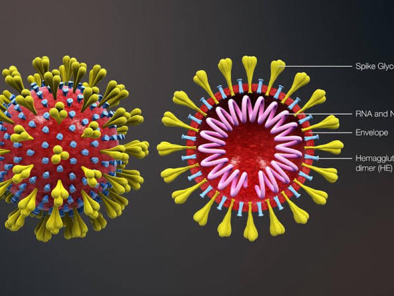 Coronavirus