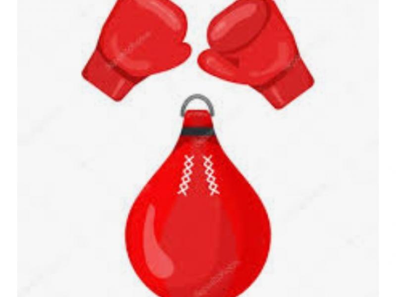 Les gants de boxe et le sac de boxe 