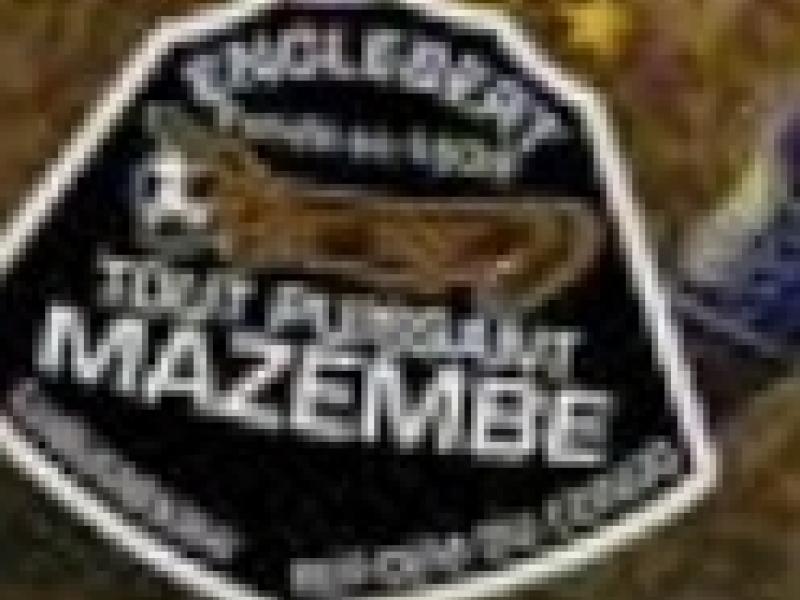 Logo TP Mazembe 
