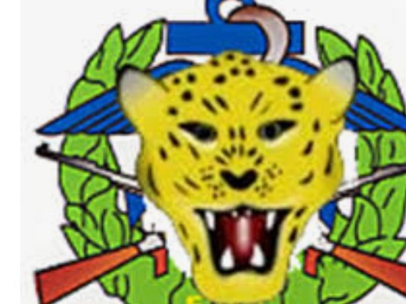 Logo Fardc