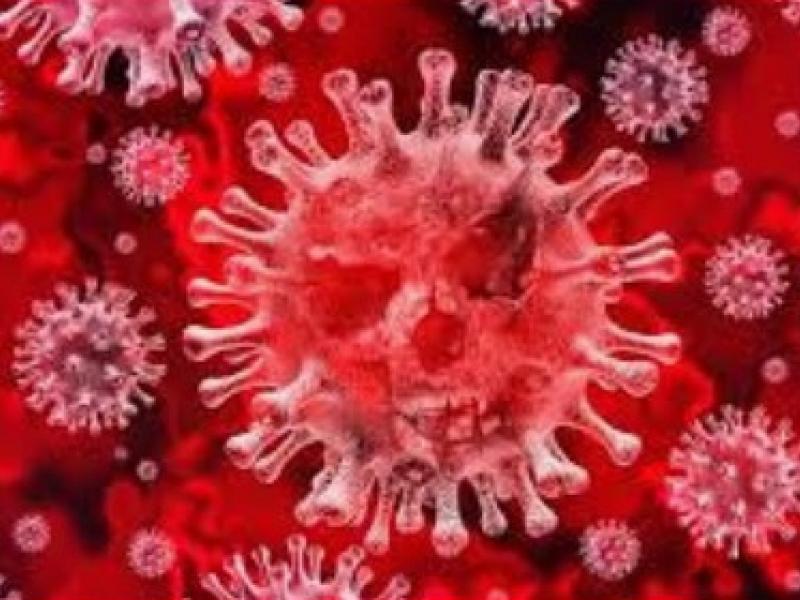 Représentation du coronavirus