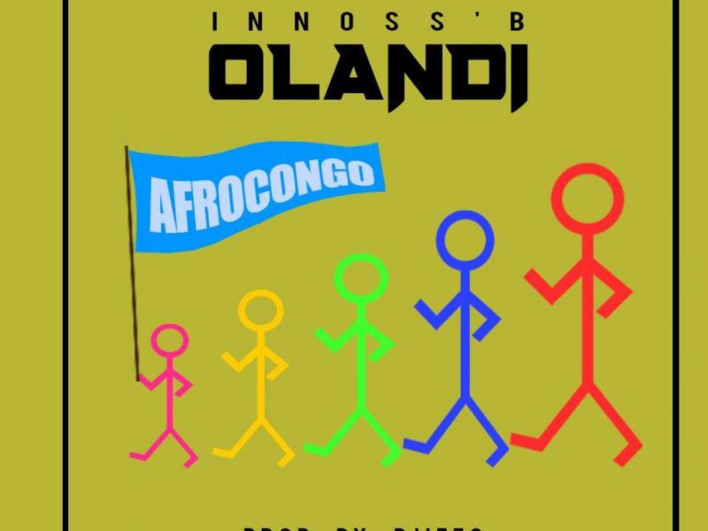 Affiche Olandi