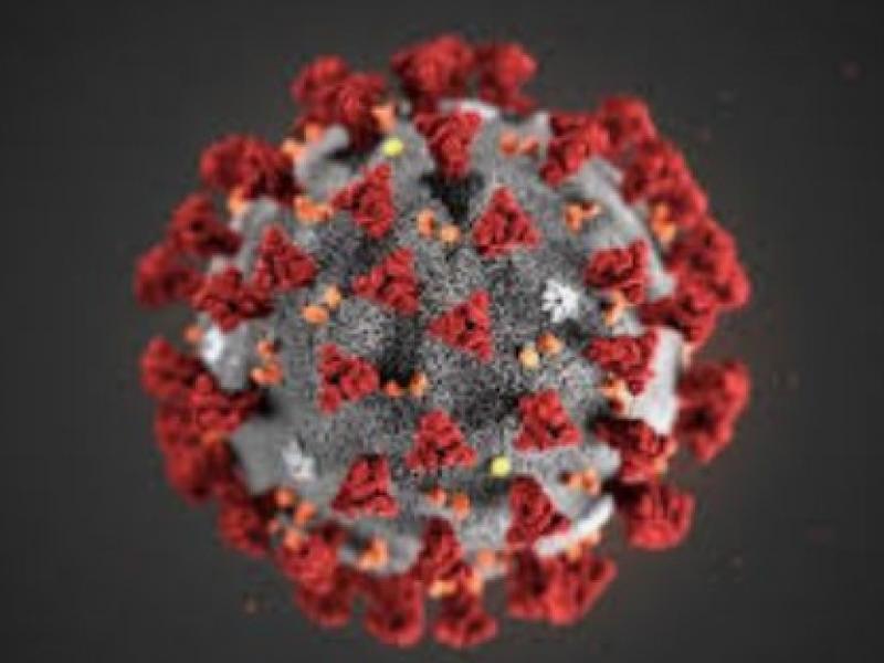Coronavirus