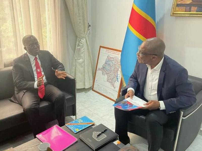 Matata et Fayulu