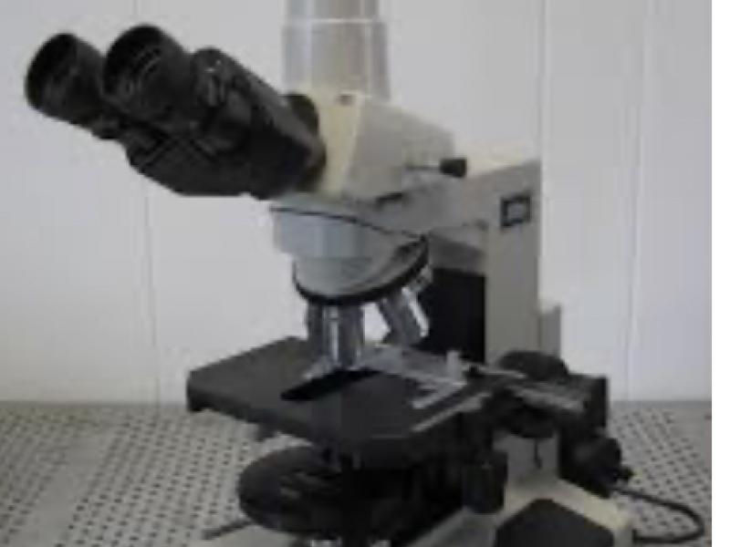 Microscope
