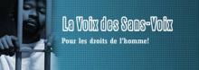 Logo VSV