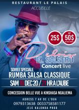 Affiche Delvis Salsero