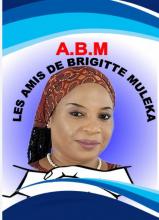 Affiche de Brigitte 