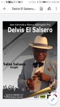 Delvis salsero 
