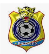 Logo fecofa
