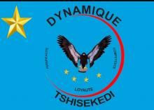 Dynamique Tshisekedi 