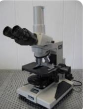 Microscope